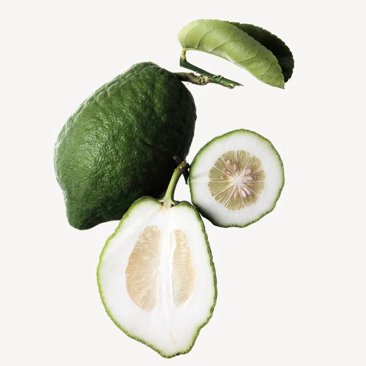 VOLZAK PARFUM VISIONARY 100ML HOMME