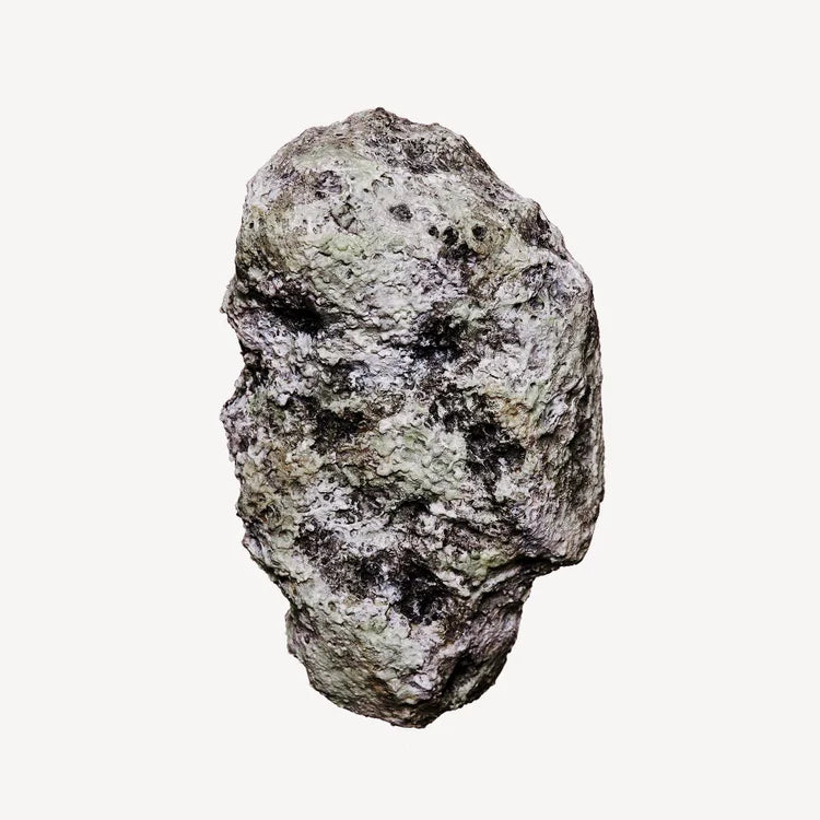 VOLZAK PARFUM VISIONARY 100ML HOMME