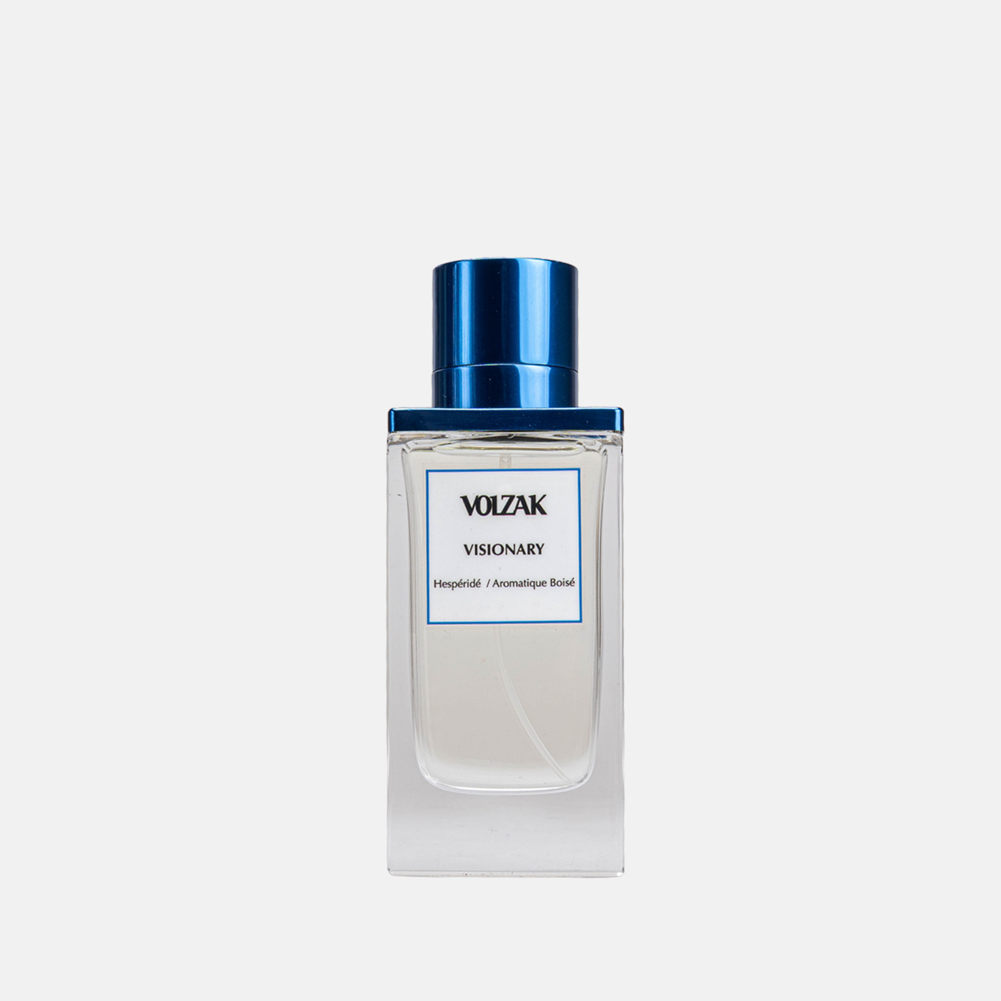 VOLZAK PARFUM  VISIONARY 100ML HOMME