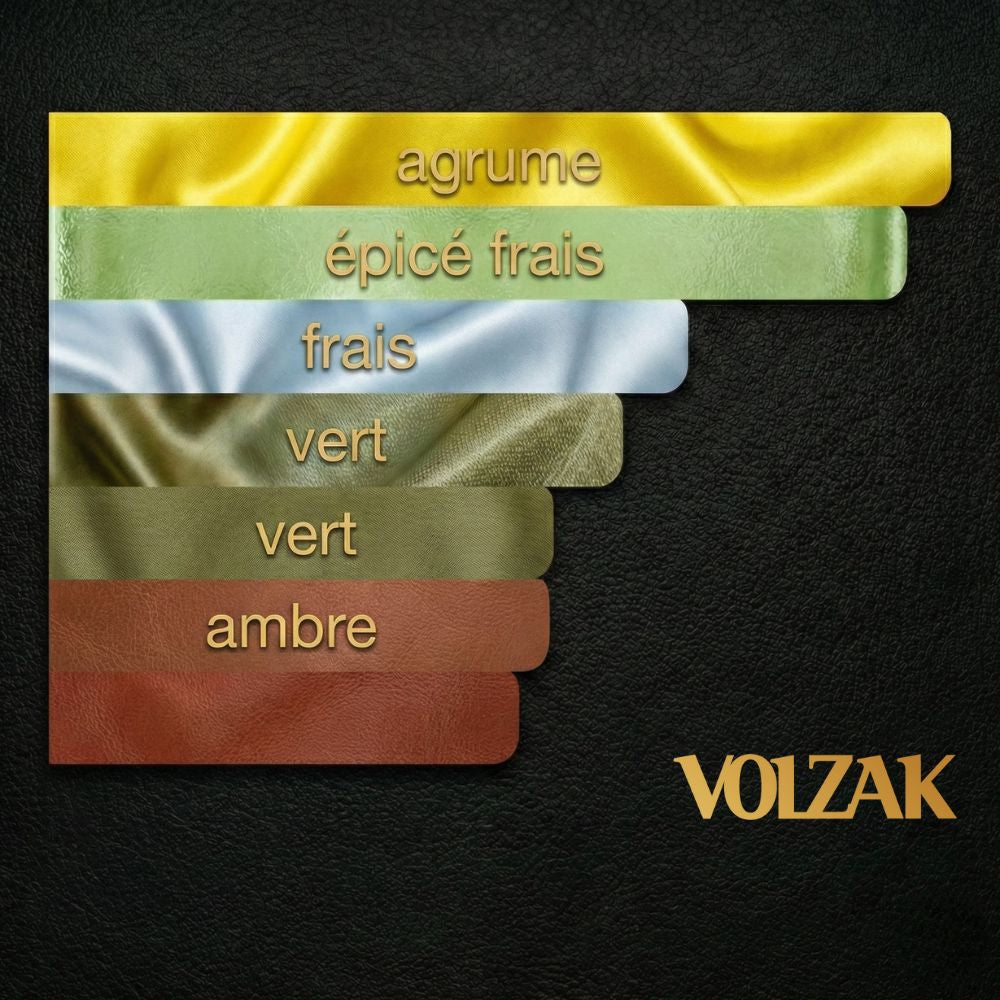 VOLZAK PARFUM  VISIONARY 100ML HOMME