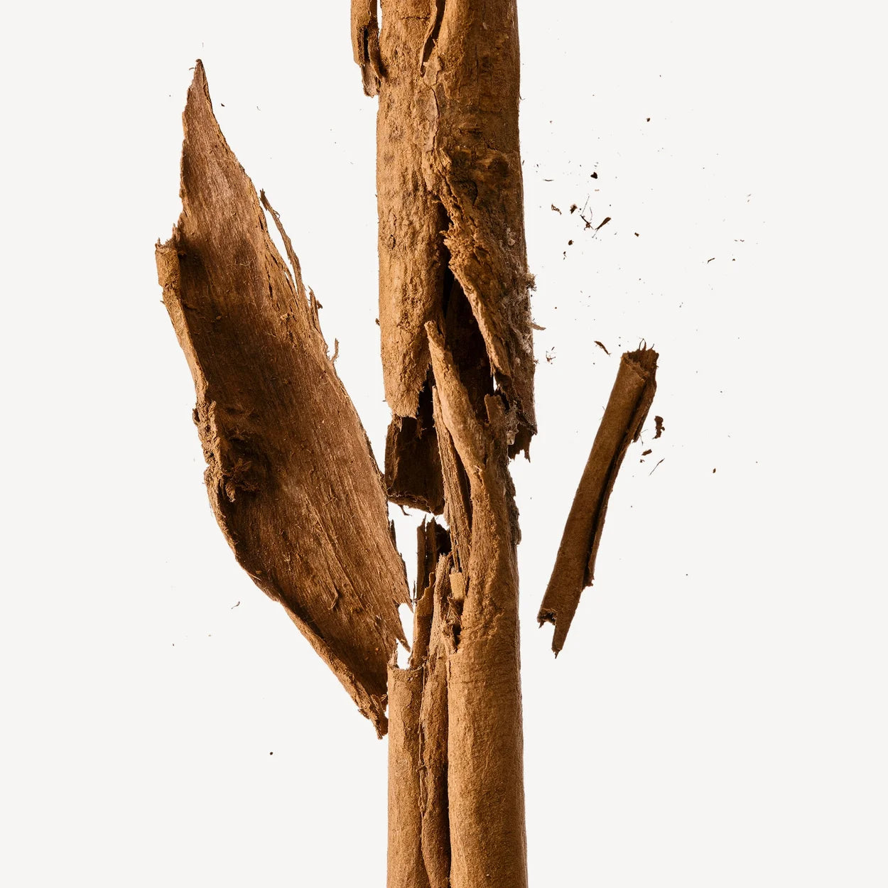 VOLZAK PARFUM MIEL DORÉ 100ML HOMME