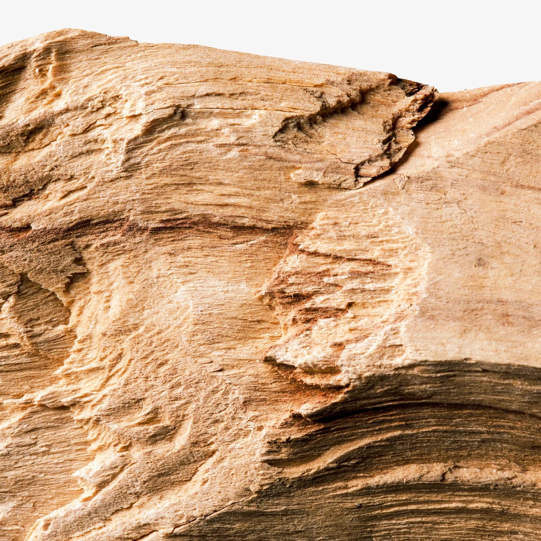 VOLZAK PARFUM  VISIONARY 100ML HOMME